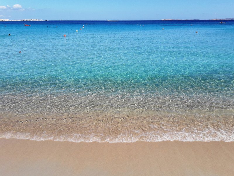 Immagine di Piranha Beach 2021