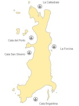 Palmarola